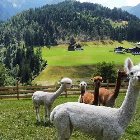 Daire Alpakahof Strieder