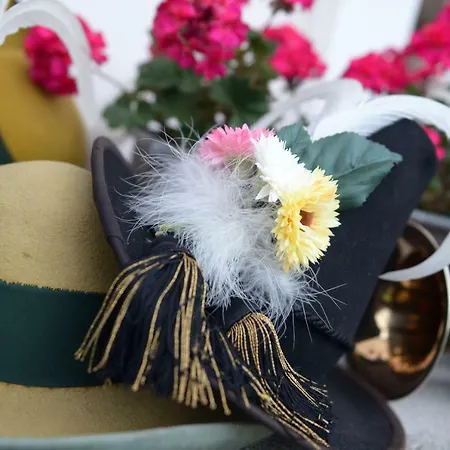 Alpakahof Strieder 公寓 *