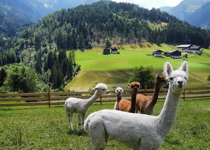 Appartement Alpakahof Strieder