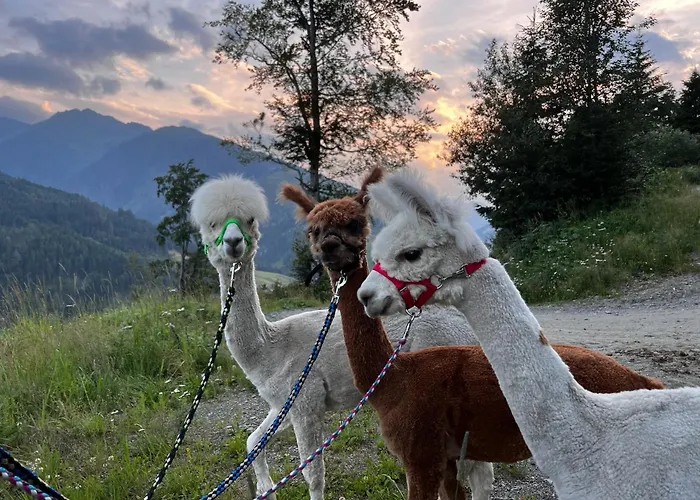 Alpakahof Strieder Apartament *