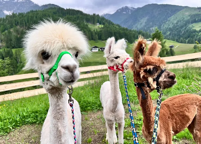 Apartment Alpakahof Strieder *