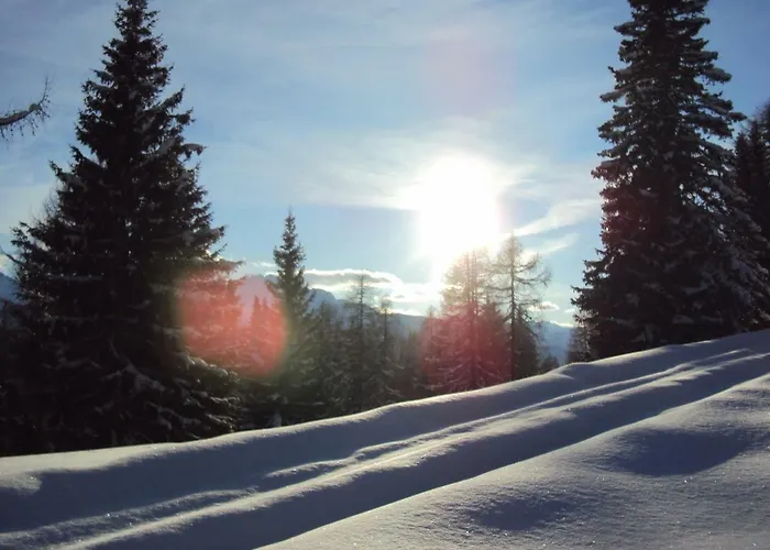 Alpakahof Strieder * Maria Luggau