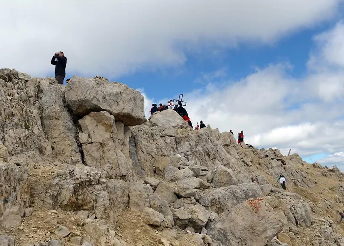 Alpakahof Strieder Maria Luggau